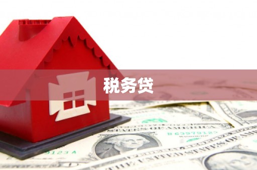 周村税务贷
