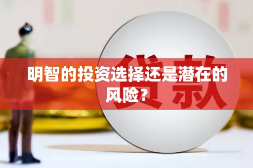 周村明智的投资选择还是潜在的风险？