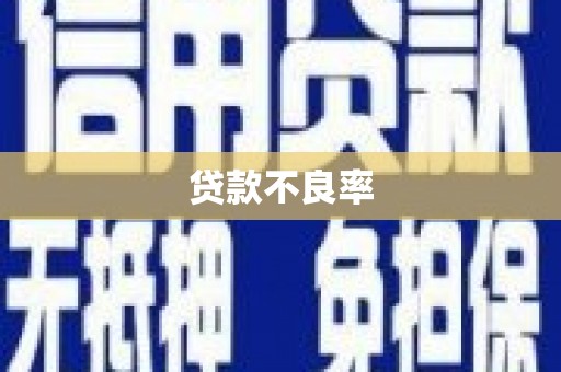 周村贷款不良率