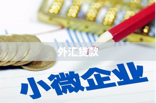 周村外汇贷款