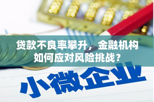 周村贷款不良率攀升，金融机构如何应对风险挑战？