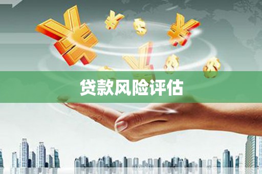 周村贷款风险评估