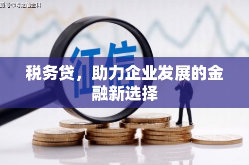 周村税务贷，助力企业发展的金融新选择