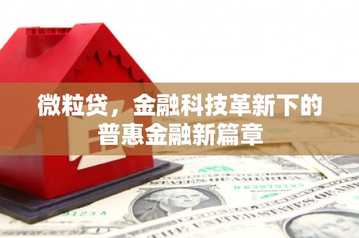 周村微粒贷，金融科技革新下的普惠金融新篇章