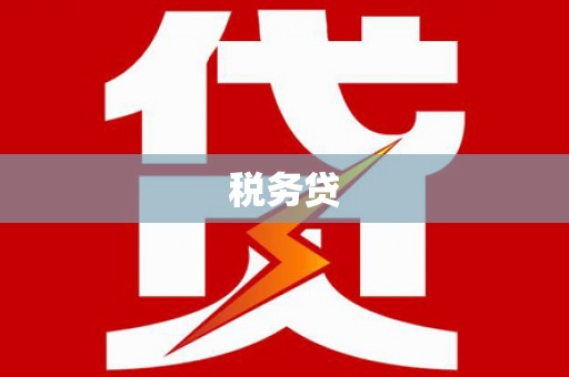周村税务贷