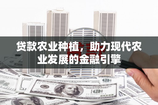 周村贷款农业种植，助力现代农业发展的金融引擎
