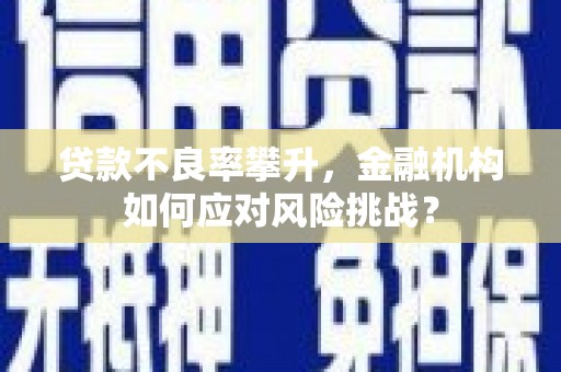 周村贷款不良率攀升，金融机构如何应对风险挑战？