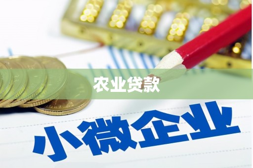 周村农业贷款