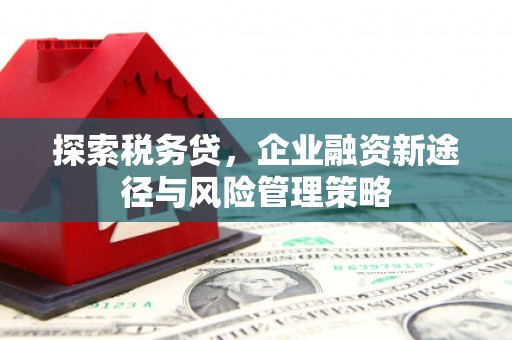 周村探索税务贷，企业融资新途径与风险管理策略