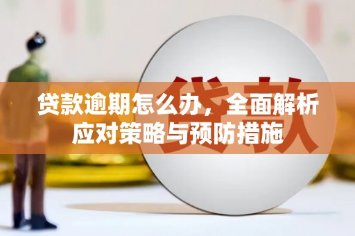 周村贷款逾期怎么办，全面解析应对策略与预防措施