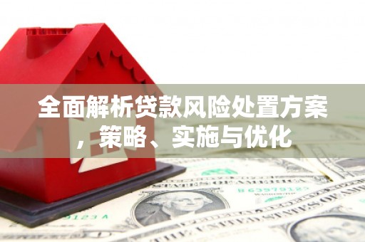 周村全面解析贷款风险处置方案，策略、实施与优化