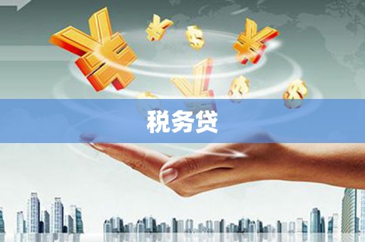 周村税务贷
