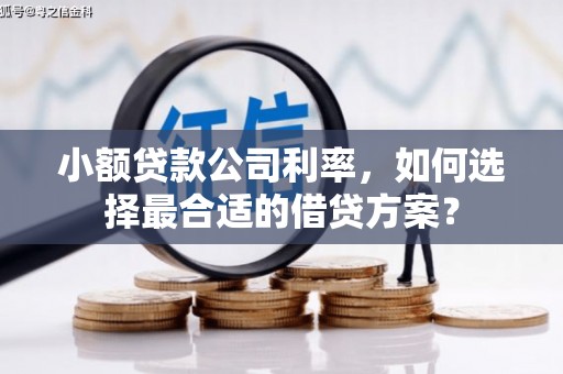 周村小额贷款公司利率，如何选择最合适的借贷方案？