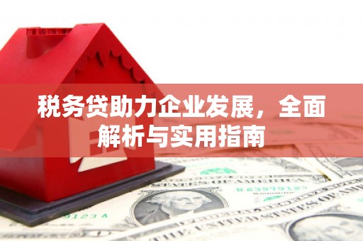 周村税务贷助力企业发展，全面解析与实用指南