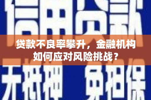 周村贷款不良率攀升，金融机构如何应对风险挑战？