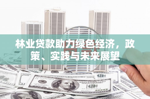 周村林业贷款助力绿色经济，政策、实践与未来展望