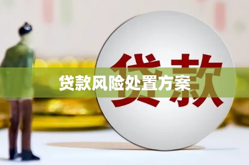 周村贷款风险处置方案