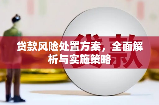 周村贷款风险处置方案，全面解析与实施策略